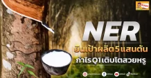 ด่วน!!! (มิติหุ้น-ข่าวเจาะ) 🔥NER🔥 ยืนเป้าผลิต5 แสนตัน กำไรQ1 เติบโตสวยหรู