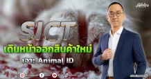 SICT  เดินหน้าออกสินค้าใหม่ เจาะ Animal ID