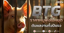 BTG ราคาหมูพุ่งไม่หยุด ดันผลงานทั้งปีแรง
