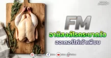 FM อานิสงส์โรคระบาดวัว ออเดอร์ไก่เข้าเพียบ