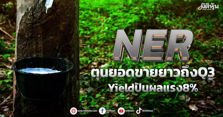 NER ตุนยอดขายยาวถึงQ3  Yieldปันผลแรง8%