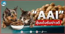 เด็กแนว (เช้า) “AAI” ลุ้นเด้งรับข่าวดี