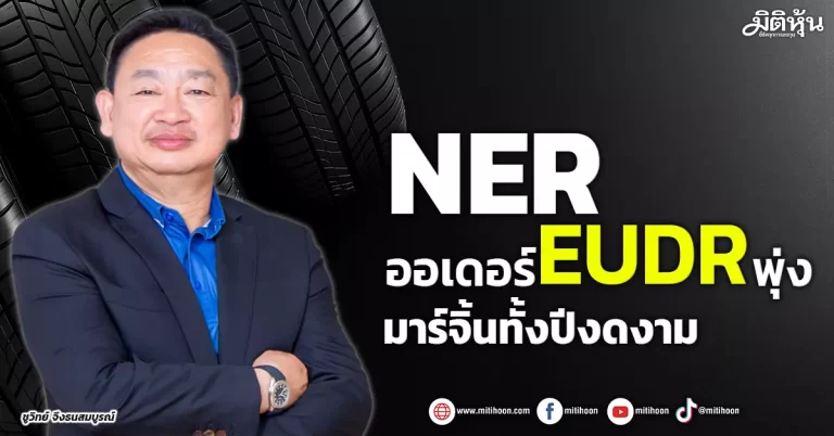 NER  ออเดอร์EUDRพุ่ง  มาร์จิ้นทั้งปีงดงาม