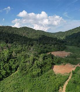 มาสเตอร์การ์ด เดินหน้าสนับสนุนการปลูกต้นไม้อย่างต่อเนื่องในพื้นที่อุทยานแห่งชาติแก่งกระจาน