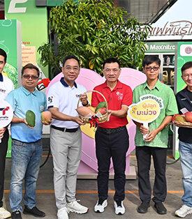 “พาณิชย์”จับมือ 4 ปั๊มน้ำมัน ซื้อมะม่วงแฟนซีภาคเหนือ นำแจกเป็นของสมนาคุณผู้เติมน้ำมัน