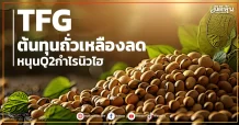 TFG ต้นทุนถั่วเหลืองลด หนุนQ2กำไรนิวไฮ