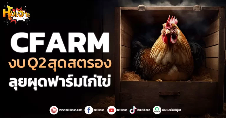 (หุ้นเจาะ) CFARM  งบQ2 สุดสตรอง  ลุยผุดฟาร์มไก่ไข่    