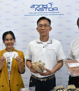 ไบโอเทค สวทช. พัฒนา “เห็ดแครงสายพันธุ์ใหม่” คุณภาพสูง พร้อมปูทางสู่เกษตรกร และชี้ทางต่อยอดเป็นแหล่งโปรตีนทางเลือก