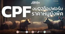 CPF งบQ2ท็อปฟอร์ม ราคาหมูยังพีค