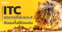 ITC ออเดอร์พุ่งแรง! ดันงบทั้งปีโดดเด่น