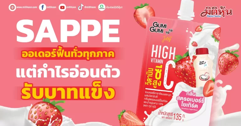 SAPPE  ออเดอร์ฟื้นทั่วทุกภาค  แต่กำไรอ่อนตัวรับบาทแข็ง  