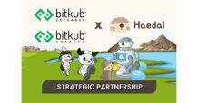 Bitkub Exchange และ Bitkub Academy ประกาศความร่วมมือ HAEDAL แพลตฟอร์ม DeFi ชั้นนำบนเครือข่าย Sui