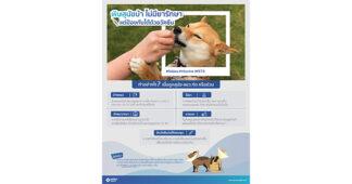 PRINC “โรคพิษสุนัขบ้า” ระบาดในสมุทรปราการ ภัยใกล้ตัวที่ต้องระวัง