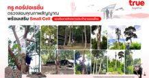 TRUE Corporation Maintains Small Cell Quality to Support Thai Military Border Missions