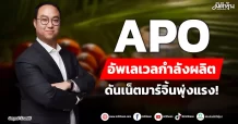 APO อัพเลเวลกำลังผลิต ดันเน็ตมาร์จิ้นพุ่งแรง!
