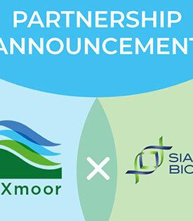 สยามไบโอไซเอนซ์ ร่วมมือกับ “eXmoor Pharma” พันธมิตรจากสหราชอาณาจักร เพื่อจัดตั้งศูนย์เซลล์และยีนบำบัดระดับโลก ในภูมิภาคเอเชียตะวันออกเฉียงใต้