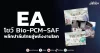 EA โชว์ Bio-PCM–SAF พลิกปาล์มไทยสู่พลังงานโลก