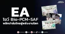 EA โชว์ Bio-PCM–SAF พลิกปาล์มไทยสู่พลังงานโลก