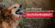 Plus Property แนะมาตรการดูแลโครงการอยู่อาศัย ป้องกันโรคพิษสุนัขบ้า  สร้างความปลอดภัยให้ลูกบ้านอย่างรอบด้าน