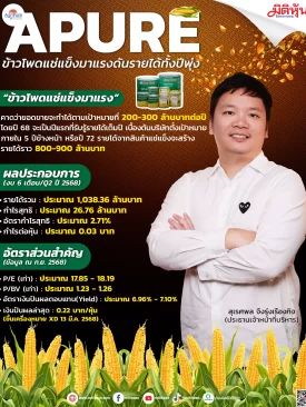 APURE ข้าวโพดแช่แข็งมาแรงดันรายได้ทั้งปีพุ่ง