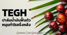 TEGH ปาล์มน้ำมันฟื้นตัว หนุนกำไรครึ่งหลัง