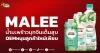(หุ้นเจาะ) MALEE น้ำมะพร้าวบุกจีนเต็มสูบ OEMหนุนลูกค้าใหม่เพียบ