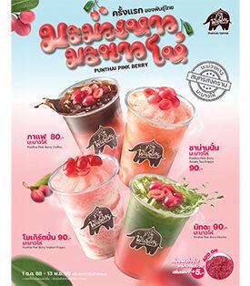 เบอร์รีไทยต้องแมส! พันธุ์ไทยเสิร์ฟ “มะม่วงหาว มะนาวโห่” ยกระดับผลไม้พื้นถิ่น จ.สมุทรสงคราม