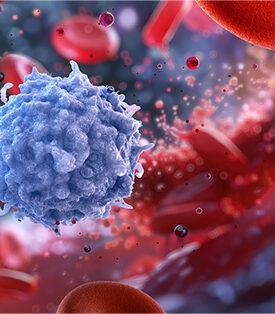 WMC ตรวจวัด NK Cells Activity ด่านหน้าสู้มะเร็งจากระบบภูมิคุ้มกัน