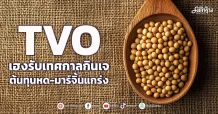 TVO  เฮงรับเทศกาลกินเจ  ต้นทุนหด-มาร์จิ้นแกร่ง
