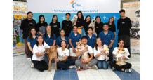 ITC i-Tail Continues “Second Chance” Project With Activities for the Elderly and Shelter Dogs