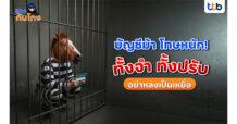 ttb มุ่งสร้างความปลอดภัยทางการเงินให้ลูกค้ายุคดิจิทัล ย้ำ! บัญชีม้าโทษหนัก เตือนคนไทยรู้เท่าทัน ป้องกันก่อนตกเป็นเหยื่อ