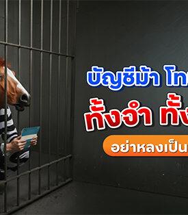 ttb มุ่งสร้างความปลอดภัยทางการเงินให้ลูกค้ายุคดิจิทัล ย้ำ! บัญชีม้าโทษหนัก เตือนคนไทยรู้เท่าทัน ป้องกันก่อนตกเป็นเหยื่อ