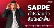 SAPPE กำไรอ่อนตัว ลุ้นปีหน้าฟื้น