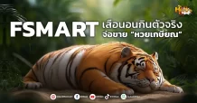 (หุ้นเจาะ) FSMART  เสือนอนกินตัวจริง  จ่อขาย “หวยเกษียณ”