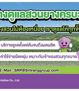 STA ‘กลุ่มบริษัทศรีตรัง’ ต่อยอดความเชี่ยวชาญ เปิดตัวบริการใหม่ ‘ผู้ให้บริการดูแลสวนยางพาราแบบครบวงจร’ พร้อมส่งเสริมการทำยางอย่างยั่งยืนมาตรฐานระดับโลก วางเป้าหมาย 2,000 ไร่ภายในปี 69