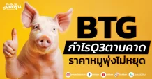 BTG กำไรQ3ตามคาด ราคาหมูพุ่งไม่หยุด