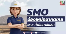 SMO น้องใหม่อนาคตไกล No.1 น้ำมันปาล์มดิบ