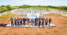 TTA ผนึกพลังพันธมิตร ฟื้นฟูป่าชายเลนกว่า 740 ไร่ ในกิจกรรม “ปลูกเพื่อโลก สู่อนาคตยั่งยืน” ตั้งเป้าลดคาร์บอนกว่า 34,785 ตัน ภายใน 5 ปี