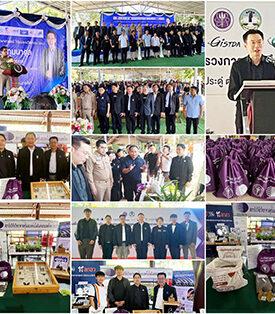 วว. ร่วมลงพื้นที่จังหวัดนครราชสีมา ติดตามการดำเนินงานกระทรวงการอุดมศึกษาฯ พร้อมนำเสนอผลงาน “อว. ปันสุข ปลูกผักกินเอง” เพื่อสร้างความมั่นคงทางอาหาร