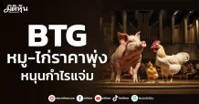 BTG หมู-ไก่ราคาพุ่ง หนุนกำไรแจ่ม