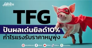TFG ปันผลเด่นยิลด์10% กำไรแรงรับราคาหมูพุ่ง