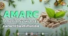 ด่วน!!! (มิติหุ้น-หุ้นเจาะ) 🔥AMARC🔥 โกยกำไรอลังการ เน็ตมาร์จิ้นโตเกินร้อย