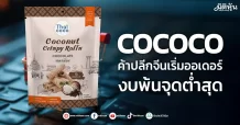 COCOCO ค้าปลีกจีนเริ่มออเดอร์ งบพ้นจุดต่ำสุด