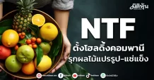 NTF ตั้งโฮลดิ้้งคอมพานี รุกผลไม้แปรรูป-แช่แข็ง
