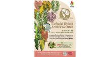 กลับมาอีกครั้ง Colorful Foliage #7 งาน Colorful Hybrid Aroid Fair 2026 ชวนช้อปชมโชว์ความงดงามไม้ใบไม้ด่าง 6-8 ก.พ.นี้ ที่เดอะไนน์ เซ็นเตอร์ พระราม 9