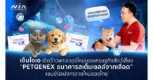 NIA เปิดว้าวพาวเวอร์ใหม่ของเศรษฐกิจสัตว์เลี้ยง กับ “PetgeneX ธนาคาร สเต็มเซลล์จากเลือดรายแรกของไทย” แชมป์นิลมังกรรายใหม่ของไทย ผู้ปิด Pain Point ให้สัตว์เลี้ยงแสนรักอยู่รอดได้จากกลุ่มโรคเสื่อม