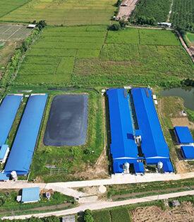 CPF “ชนิสราฟาร์ม” ตัวอย่าง “เกษตรกรคู่ชีวิตทางอาชีพ” สร้างความมั่นคงด้วยสองมือ