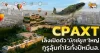 ด่วน!!! (มิติหุ้น-หุ้นเจาะ) 🔥CPAXT🔥 เล็งเปิดตัว“มิกซ์ยูส”ใหญ่ กูรูลุ้นกำไรทั้งปีหมื่นล.