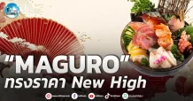 เด็กแนว (เช้า) ” MAGURO ” ทรงราคา New high