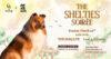 The PARQ : ชวนเหล่าครอบครัวเชลตี้ขนฟู บุกเดอะ ปาร์ค พร้อมปล่อยจอยในงาน The Shelties Soirée